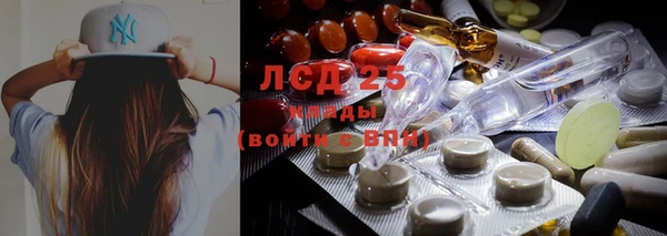 бошки Карпинск