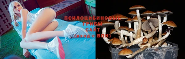 apvp Касимов