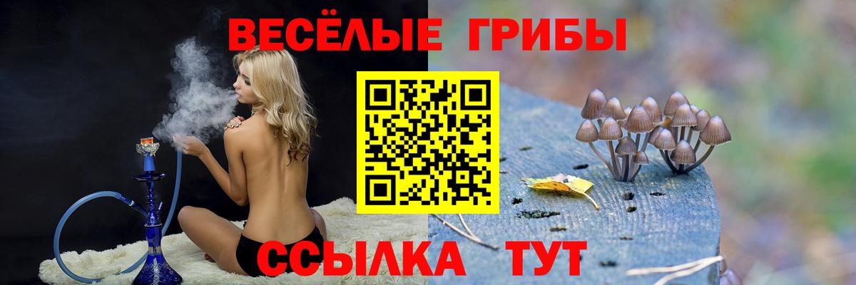 Псилоцибиновые грибы прущие грибы Шахты