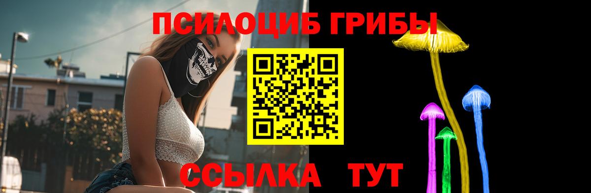 Псилоцибиновые грибы GOLDEN TEACHER  купить наркоту  Псилоцибиновые грибы GOLDEN TEACHER  Шахты  Вход с VPN 